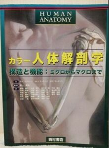 カラー人体解剖学　構造と機能:ミクロからマクロまで(看護教科書、看護参考書)