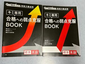 ベネッセ 基礎力養成期 合格への弱点克服BOOK 標準英語