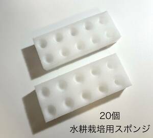 【新品、送料無料】水耕栽培用スポンジ 20個セット ポットは含みません