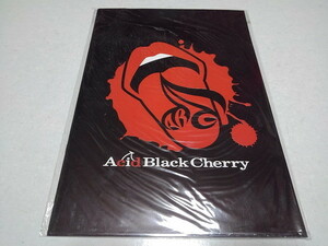 ▲　Acid Black Cherry　【　FREE LIVE 2007パンフレット ♪美品　】　アシッド・ブラック・チェリー　※管理番号 pa2635