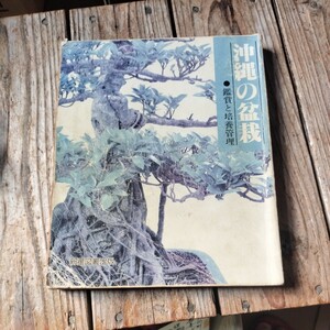 * Okinawa. bonsai new star books publish *