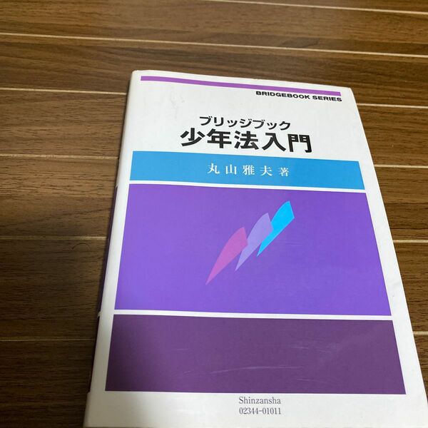 ブリッジブック少年法入門 （ブリッジブックシリーズ） 丸山雅夫／著