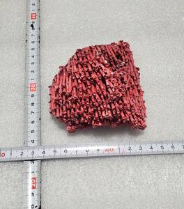 赤珊瑚　激レア物　　　当時物　原木　コレクション　インテリア　パワーストーン　力石　サンゴ　