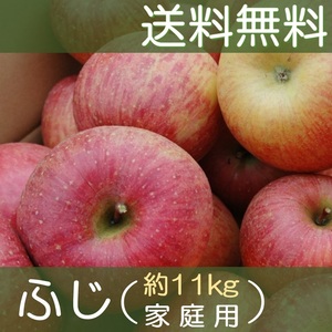▲送料無料▲ 福島産りんご サンふじ 家庭用 約11kg(11)