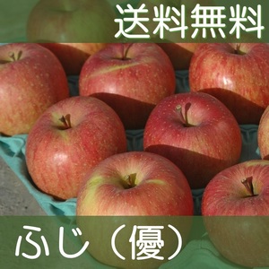 ■送料無料■ 福島産りんご【サンふじ】優玉 約11kg MIX22個 (2)