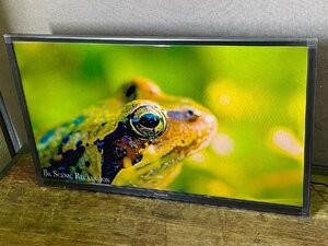 パナソニック 32V型 ARC対応 液晶 テレビ VIERA TH-32J300 2023年製 超美品