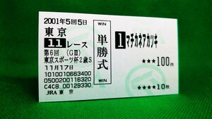 マチカネアカツキ：2001東京スポーツ杯2歳ステークス：現地単勝馬券