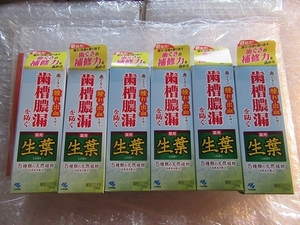 小林製薬の薬用ハミガキ「生葉」 100g × 6箱