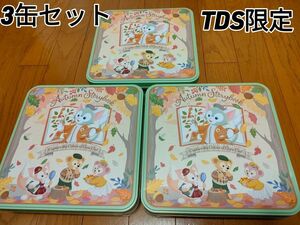 ダッフィーお菓子缶のみ３個:東京ディズニーシー:Autumn Storybook:ラスク缶:ケープコッド:東京ディズニーリゾート 