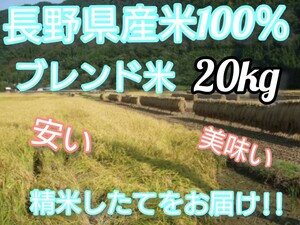 【白米】長野県産ブレンド米20キロ（10㎏×2袋）精米したてをお届け致します!! #インボイス発行可#送料無料