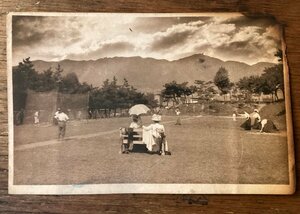 JJ-2073 ■送料込■ スポーツ クリケット 観戦 日傘 公園 芝生 ヨーロッパ 風景写真 絵葉書 古写真 印刷物/くFUら