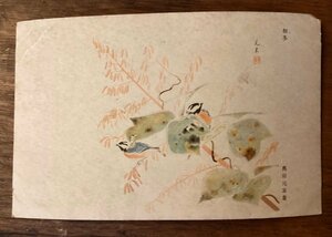 Art hand Auction JJ-2163 ■Shipping included■ Early winter by Genso Okuda, Kingfisher, small bird, military mail, animals, nature, art, watercolor painting, landscape painting, postcard, painting, print/Kura, Printed materials, Postcard, Postcard, others