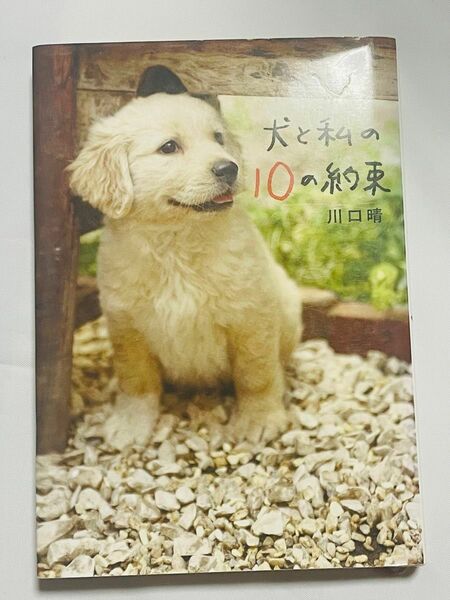 【匿名配送】犬と私の１０の約束 川口晴／著