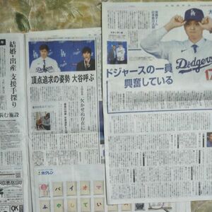  大谷翔平読売新聞記事20,28面