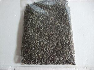  wild bird. bait [ large grain ] sunflower. kind 500gsijuukalayamagala. favourite food 