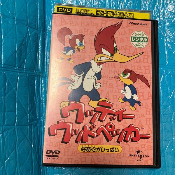 ウッディー ウッドペッカー 好奇心がいっぱい DVD レンタル落ち