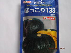 種子　新種　タキイ交配　ほっこり13３カボチャ　30粒入　1袋　 (営利用)　送料無料