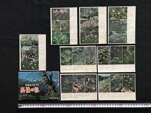 i△*　古い絵葉書　日本北アルプス　高嶺の花　8枚入　未使用　レターカードセット　/Ａ01-①