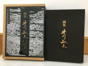 ◆送料無料◆画集　限定700部『平川敏夫』寺島郁雄　高木太郎　藤岡護　京都書院　607番　A29