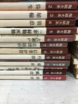 『陶磁大系 全48巻揃いセット』平凡社　工芸　陶磁器　京焼　B35-1、35-2_画像5