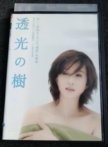 透光の樹　DVD 秋吉久美子/永島敏行/高橋昌也/吉行和子/高樹のぶ子/根岸吉太郎