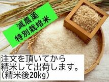 5年産 岩手米 ひとめぼれ 一等米 農家直送 減農薬_画像2