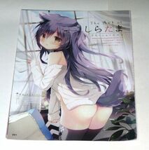 画集 THE ART OF しらたま/しゅがてん！ 他(犬耳 パンツ脱衣 たくし上げ)_画像1