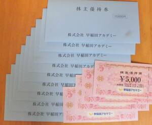 ☆最新☆早稲田アカデミー株主優待券９万分（5000円×18枚）　匿名配送ネコポス　　送料無料