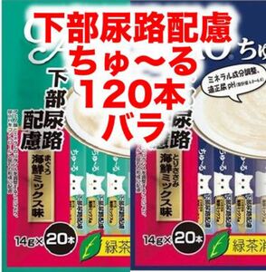 チャオ ちゅーる 下部尿路配慮 120本 まぐろ海鮮ミックス とりささみ海鮮ミックス ちゅ〜る　腎臓配慮