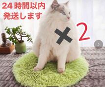 2個セット　USB 犬猫カーペットペット用　保温パット　あったかホットカーペット　犬猫カーペット　_画像1