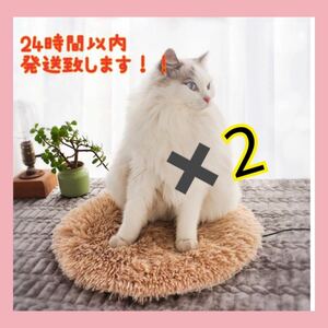 2個セット！お買い得　ペット用　保温パット　あったかホットカーペット　犬猫カーペット　USB あったかマット　ベージュ、グレー★