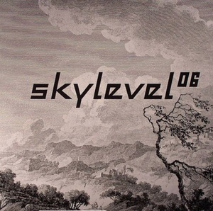 Skylevel Skylevel 06/レコード, 12インチ 中古盤/ Funk / Soul,Disco, Downtempo, Re-edit