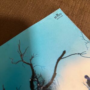 JUSTY-NASTY / CD アルバム / エデンの果実 / FOR YOU等全11曲 送料180円〜 ジャスティナスティの画像7