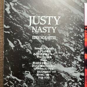 JUSTY-NASTY / CD アルバム / エデンの果実 / FOR YOU等全11曲 送料180円〜 ジャスティナスティの画像3