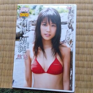 熱量　有村 架 純　 週刊 ヤング JUMP PREMIUM DVD