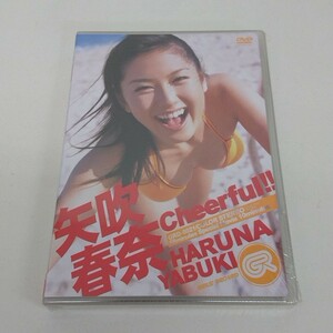 未開封 DVD 矢吹春奈 Cheerful A40