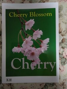 オリジナルBL同人誌☆ふゆの仁子「Cherry Blossom」R18小説 龍シリーズ 商業番外