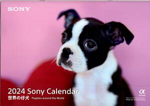 送料無料　２冊　SONY　世界の仔犬　２０２４　カレンダー　　A４サイズ　