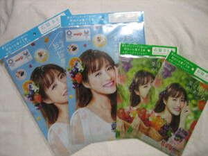  Ishihara Satomi original A4 clear file &A5 clear holder each 2 sheets ..gmi Meiji ion 