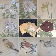 肉筆写生画帖/女学生が描いた古い直筆スケッチブックです/昭和30年代/草木花鳥画,他/日本画/絵画_画像1