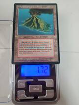 ●MTG● RV Volcanic Island(黒枠伊語)_画像4