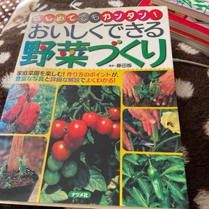 おいしくできる野菜づくり　はじめてでもカンタン！ 藤田智／著家庭菜園 