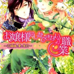 ビーズログ文庫 B's-LOG文庫 お嬢様にしかできない職業 全三巻 悠木美羽