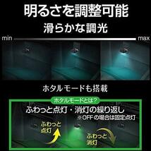 LED 車内用品 (エクセア) ミニUSBライト EL-172_画像6