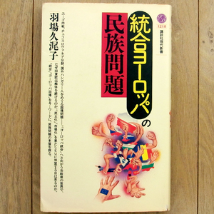 統合ヨ－ロッパの民族問題 (講談社現代新書1218) 羽場久み子著
