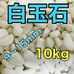 白玉石 白砂利 9〜15mm 10kg