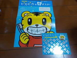 新品　サンスター　懸賞　当選品　しまじろう　ピカピカなはポスター　シール　クリックポスト発送可　切手可　