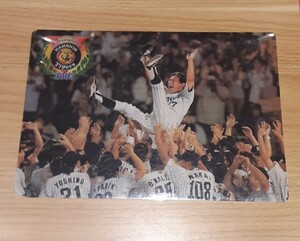 阪神タイガース 星野仙一 監督 胴上げ写真 2003 セ・リーグ チャピオン 雑貨 コレクション レトロ HANSHIN Tigers 優勝 プロ野球