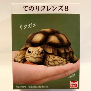 てのりフレンズ８ てのりフレンズ リクガメ カメ ソフビ フィギュア 食玩 新品 未開封 BANDAI