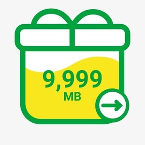 mineo 9999 MB【送無・匿名】 マイネオ パケットギフトコード （約10GB・約9.76GB）【１】
